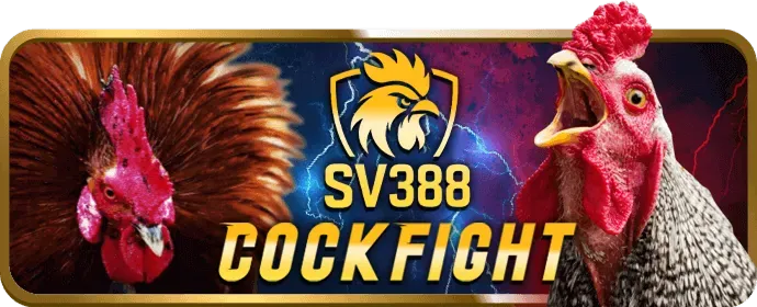 Hướng dẫn chơi pg888 casino