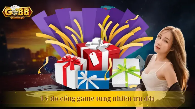 Giấy phép và quy định hoạt động